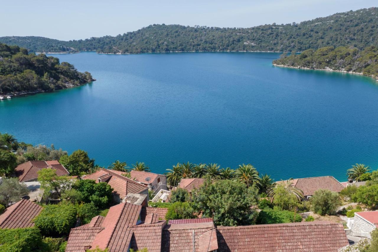 Guesthouse Pavla Goveđari エクステリア 写真